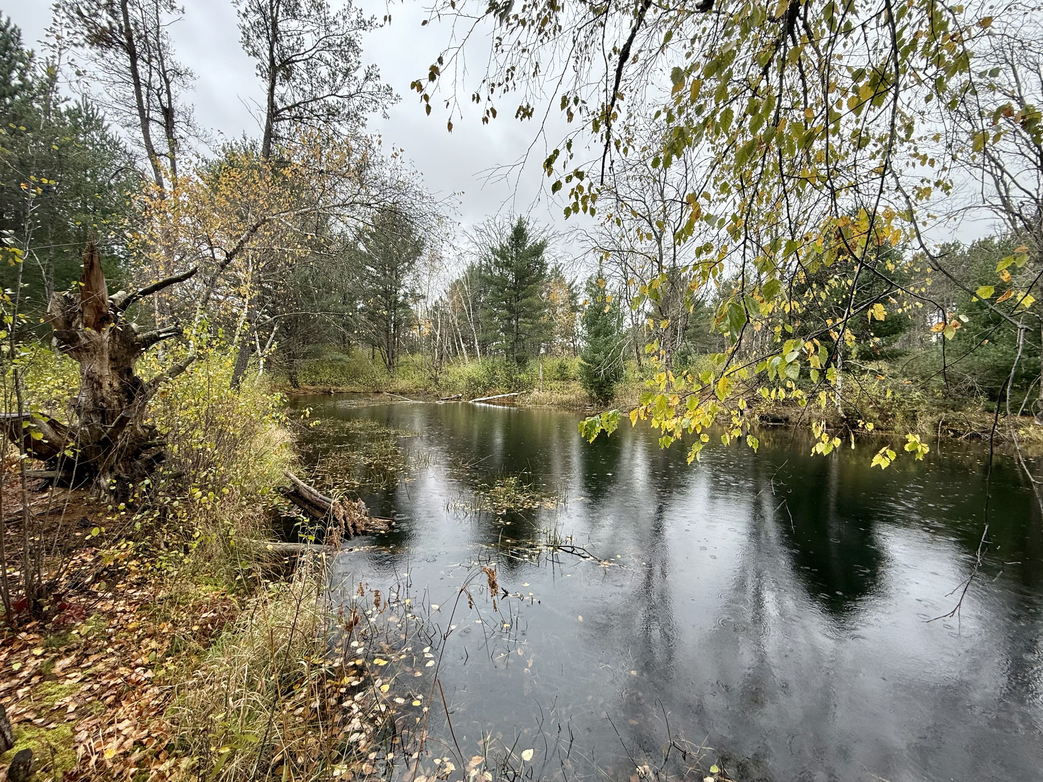 Listing Photo: Photo Oct 21 2025, 1 30 27 PM